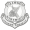 Lillooet district rescue society logo